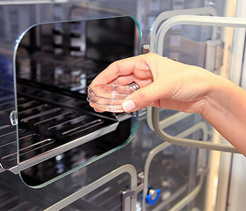 试管婴儿（一代&二代） ——定制化生育方案，高成功率助您好孕