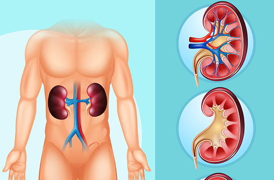 不止痛风！高『尿酸』先攻击身体3个地方
