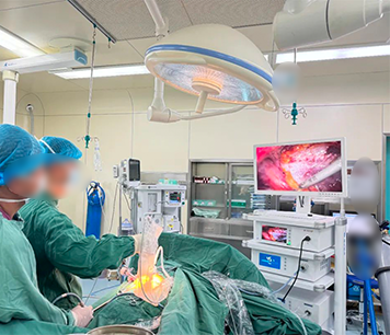 后腹腔镜肾上腺肿瘤切除术