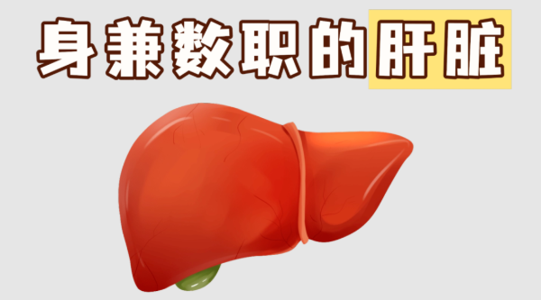 你的&ldquo;解毒&rdquo;器官，是怎么被&ldquo;玩儿坏&rdquo;的？医生