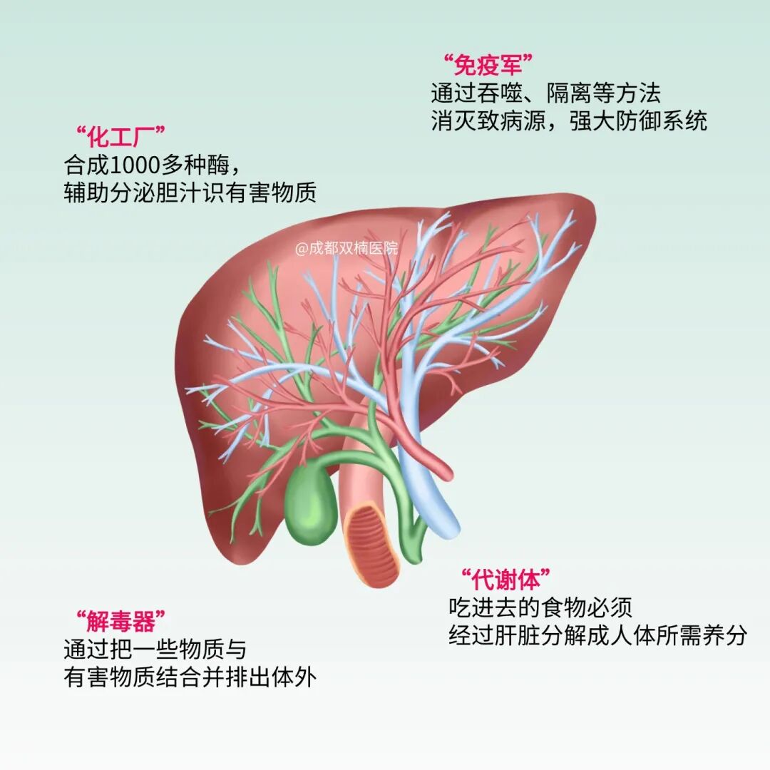 胎儿在肝脏安家！全球不足50例的凶险妊娠，孕早期必查这件事！