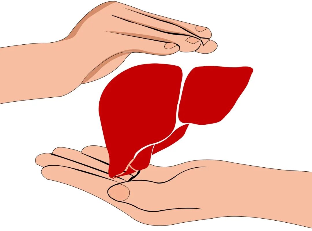 世界爱肝日 | 全国第26个爱肝日：遏制肝硬化，远离肝癌医生